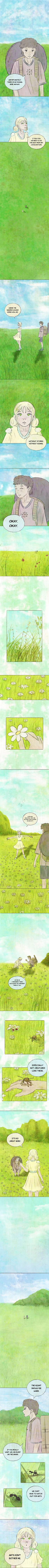 Read Cardboard Fields  1 Page 2 in English