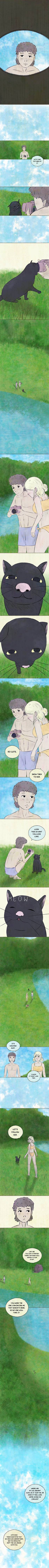 Read Cardboard Fields  10 Page 3 in English