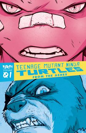 Read Teenage Mutant Ninja Turtles (2011-2024)  24 Page 3 in English