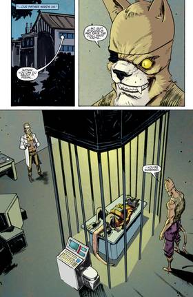 Read Teenage Mutant Ninja Turtles (2011-2024)  3 Page 9 in English