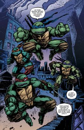 Read Teenage Mutant Ninja Turtles (2011-2024)  6 Page 10 in English