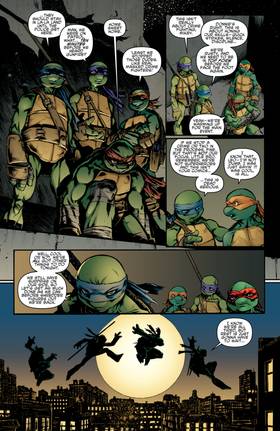 Read Teenage Mutant Ninja Turtles (2011-2024)  9 Page 7 in English