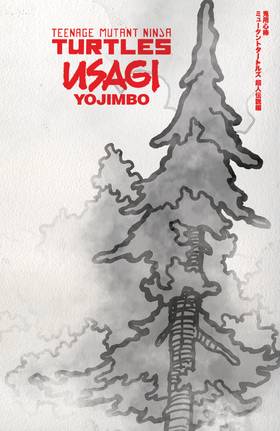 Read Teenage Mutant Ninja Turtles/Usagi Yojimbo: WhereWhen  1 Page 2 in English