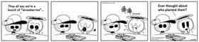 Read SMALL  5 Page 8 in English