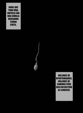 Read Antoño : el matador de toreros   65 Page 3 in Spanish