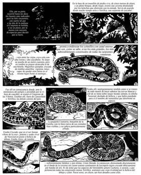 Read Anaconda  1 Page 4 in Spanish