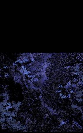 Read Everblood  5 Page 2 in English