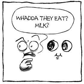 Read Bug City  103 Page 3 in English