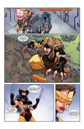Read X-FEM  1 Page 7 in English