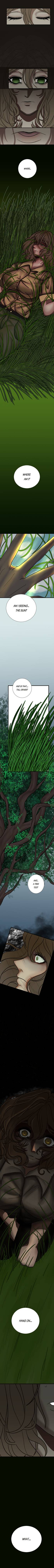 Chapter 1: Awake and Alarmed