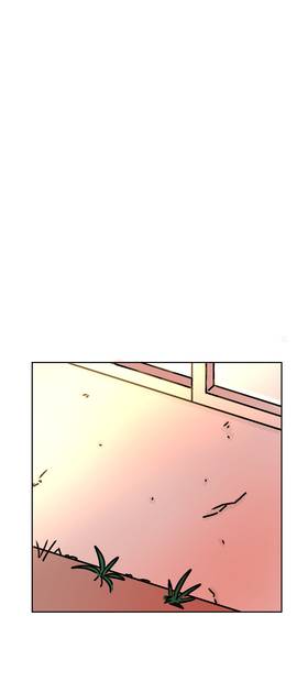 CH 5: Secret garden