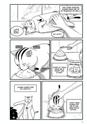 Read F2F  1 Page 5 in English
