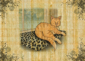 Read A Cat Named Haiku  1 Page 8 in English