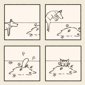Read Foxy shenanigans  12 Page 3 in English