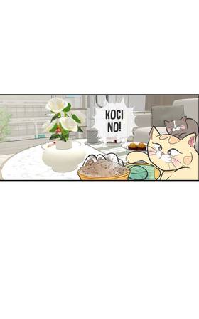 Read Cat Comic Diaries  30 Page 5 in English