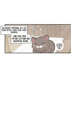 Read Cat Comic Diaries  41 Page 4 in English