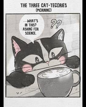 Read Cat Comic Diaries  3 Page 3 in English