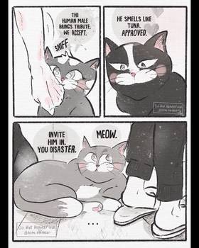 Read Cat Comic Diaries  15 Page 3 in English