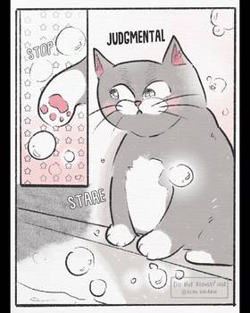Read Cat Comic Diaries  19 Page 5 in English