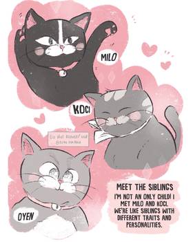 Read Cat Comic Diaries  19 Page 10 in English