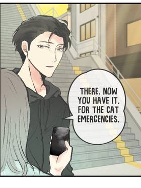 Read Cat Comic Diaries  24 Page 5 in English