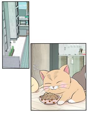 Read Cat Comic Diaries  25 Page 1 in English