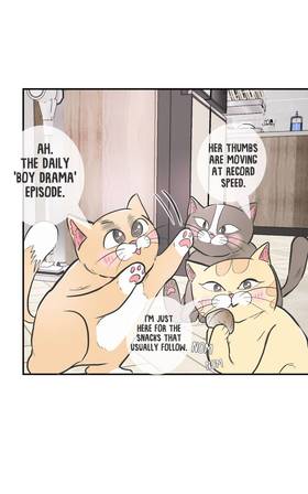 Read Cat Comic Diaries  28 Page 4 in English