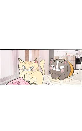 Read Cat Comic Diaries  29 Page 5 in English