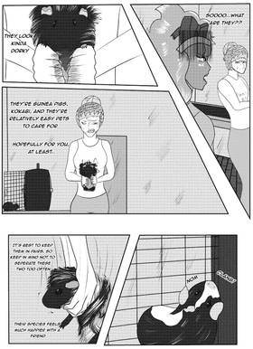 Read Shelter  9 Page 1 in English