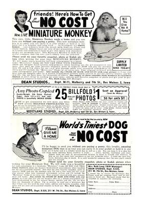 Read PEP Comics  123 Page 2 in English