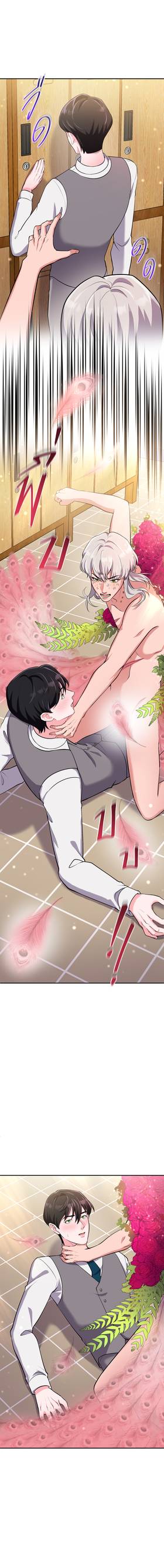 Read Accidental  1 Page 6 in English