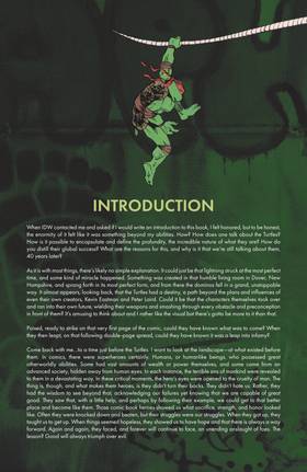 Read Teenage Mutant Ninja Turtles: The Mirage Years  1 Page 7 in English