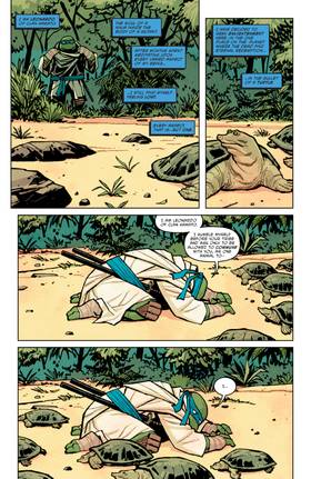 Read Teenage Mutant Ninja Turtles (2024-)  5 Page 5 in English