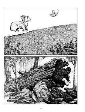 Read Korgi  1 Page 9 in English