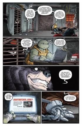 Read Teenage Mutant Ninja Turtles: Nightwatcher  7 Page 10 in English
