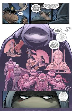 Read Teenage Mutant Ninja Turtles: Nightwatcher  3 Page 5 in English