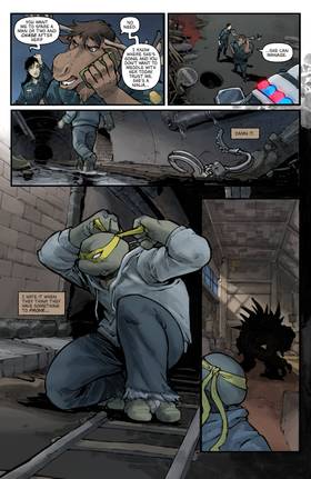Read Teenage Mutant Ninja Turtles: Nightwatcher  3 Page 10 in English