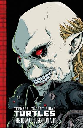 Read Teenage Mutant Ninja Turtles: The IDW Collection  17 Page 1 in English