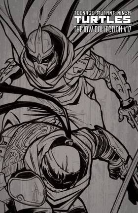 Read Teenage Mutant Ninja Turtles: The IDW Collection  17 Page 2 in English