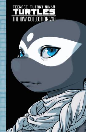 Read Teenage Mutant Ninja Turtles: The IDW Collection  18 Page 1 in English