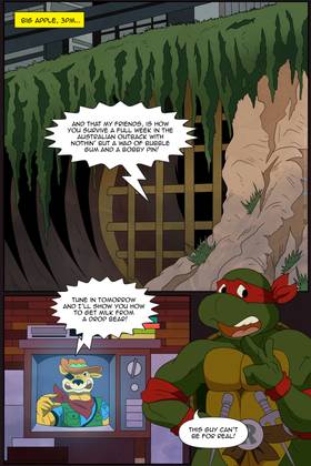 Read Unofficical Far From Perfect Teenage Mutant Ninja Turtles X Sonic the Hedgehog Crossover Fan Comic  1 Page 2 in English
