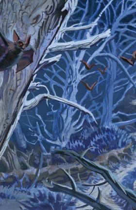 Read Nocturnals: The Sinister Path  1 Page 4 in English