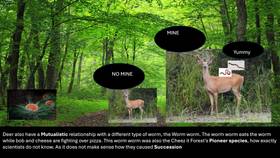 Read The Cheez-it Forest  1 Page 7 in English