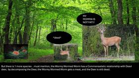 Read The Cheez-it Forest  1 Page 9 in English