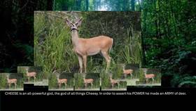 Read The Cheez-it Forest  2 Page 8 in English