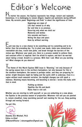Read WinC Magazine   4 Page 5 in English