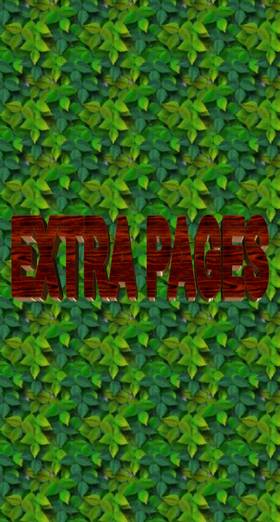 Read SURVIVALADY   8 Page 2 in English