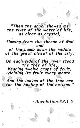 Read Hero of Light  1 Page 1 in English