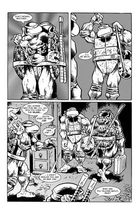 Read TMNT: Journeys  13 Page 9 in English