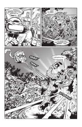 Read TMNT: Journeys  14 Page 6 in English